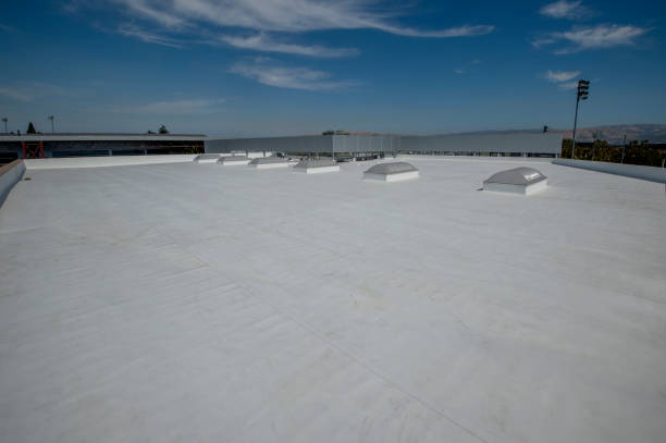 Best Cold Roofs  in Beecher, IL
