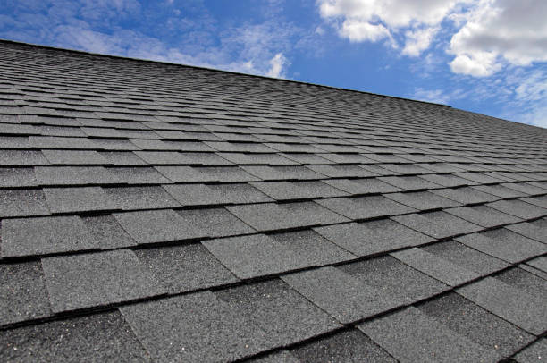 Best Roof Moss and Algae Removal  in Beecher, IL